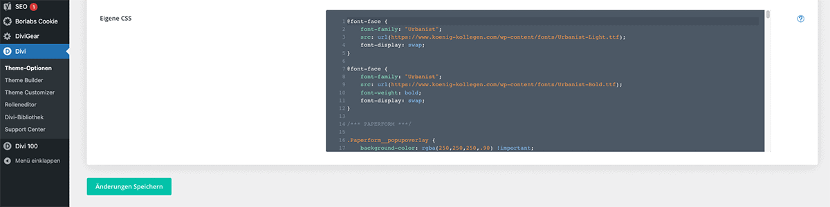 Eigenes CSS in Divi Theme Optionen einfügen